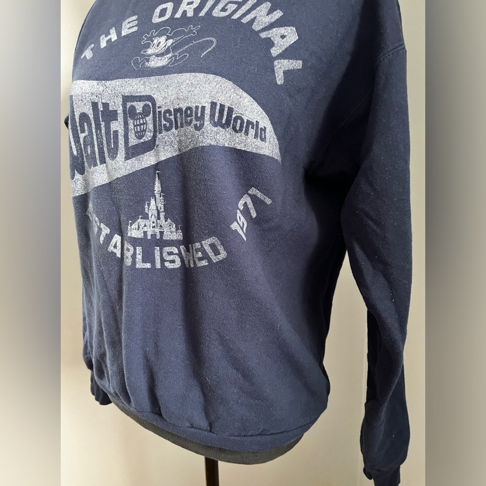 Hanes Walt Disney World Sweatshirt, Distressed, Size Small - Picture 5 of 6
